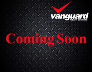 2019 FREIGHTLINER CASCADIA 113 9026396377